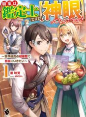 職業は鑑定士ですが【神眼】ってなんですか？　～世界最高の初級職で自由にいきたい～ raw